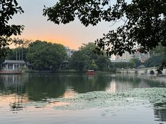 -荔湾湖公园