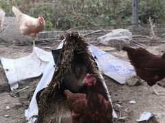 -兴芮温泉度假区