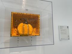 -上海宝龙美术馆