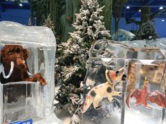 -广州热雪奇迹