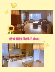 -爱陪伴尊享月子中心(国际店)