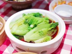 罗马生菜-西贝(宝乐汇店)