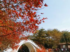 -田野绿世界