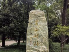 -灵谷景区