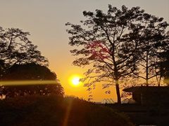 -广州莲花山旅游区