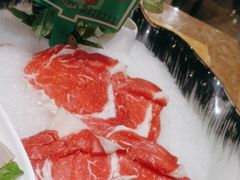 -清真军邺·金富苑肥牛(石坡街旗舰店)