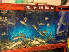 -肆月河豚·新淮扬(金融街店)