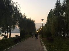 -艾溪湖湿地公园