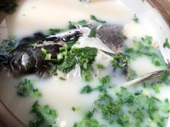 天目湖砂锅鱼头-东方大厦·就在江南