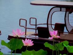 -后海公园