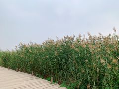 -水洞沟旅游区