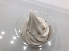 明前茉莉冰淇淋-夻茶HUATEA(水晶郦城店)