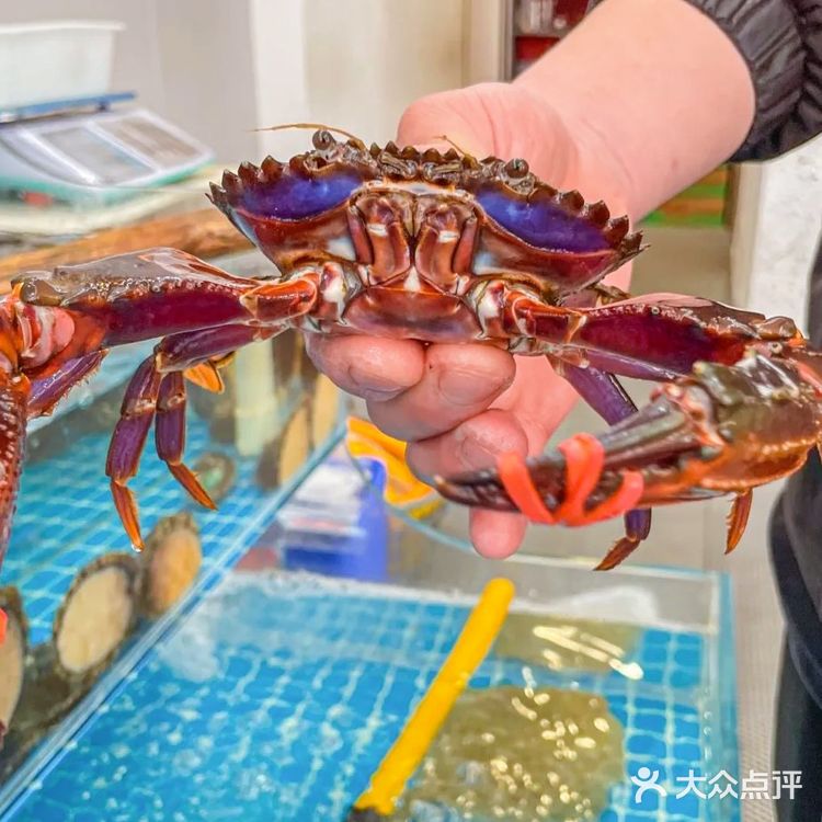 还得是“鲜乐汇”啊，又被好吃到了