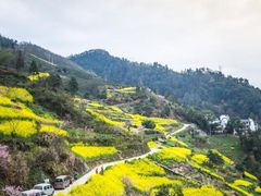 -石潭村