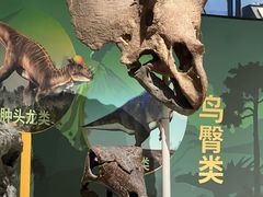 -国家自然博物馆