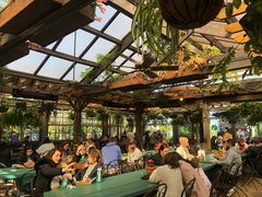 -The Grounds of Alexandria