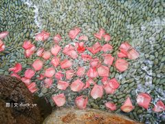 IMG_20150815_113422_副本-厦门日月谷温泉渡假村