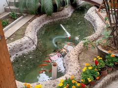 -漕河全驴宴饭店(徐水店)