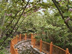 -太阳宫公园