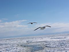 -网走流冰观光破冰船极光号