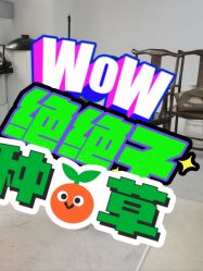 -橘子·彩虹摄影(世纪大道店)