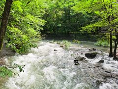 -关门山森林公园
