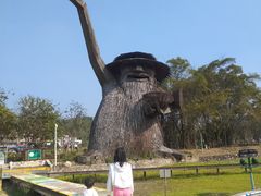 -红山村