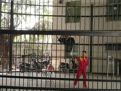 -广东茂名森林公园