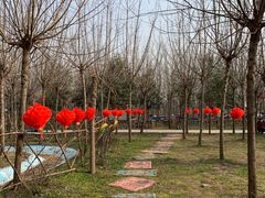 -遇见世外桃源教育农场