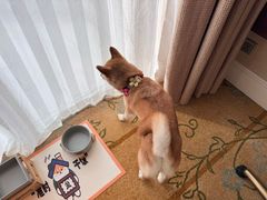 -阳澄湖费尔蒙酒店