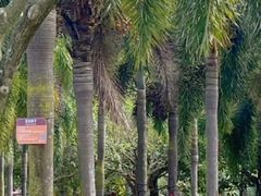 -白沙门生态公园