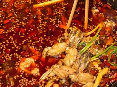 -鸿顺老铁锅美蛙鱼府(解放碑店)