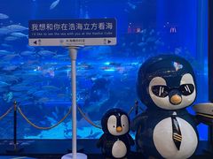 -成都浩海立方海洋公园