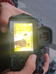 -CD视觉婚纱摄影