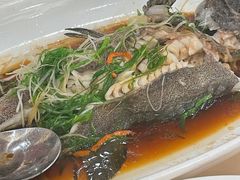 -金鮀岛潮州酒家