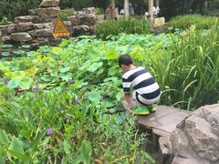 -新湖明珠城