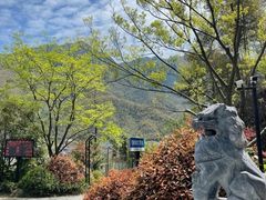 -井空里大峡谷
