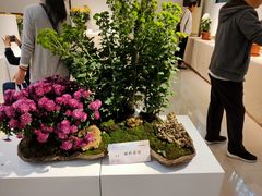 -汇龙潭