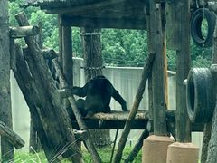 -合肥野生动物园