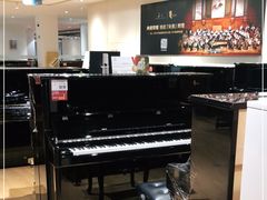 -柏斯音乐艺术中心·钢琴·吉他(上音店)