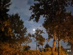 -老三烧烤(二环西路店)