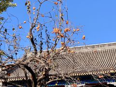 -北京石刻艺术博物馆(五塔寺)