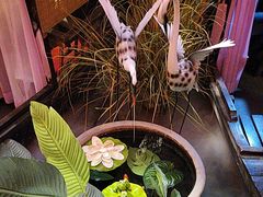 -锦上中式酒馆(南内环店)