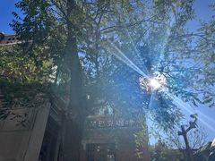-星巴克(天津五大道店)