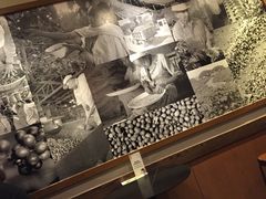 -星巴克(襄阳公园店)