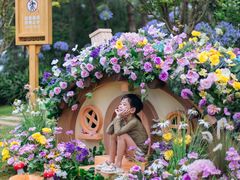 -七彩云南古滇温泉山庄