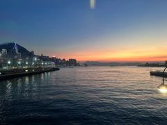 -Cupping Room(Harbour City)
