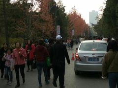 -辽宁大学(崇山校区)