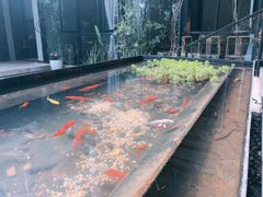 -箱美术馆私房菜(水晶郦城店)