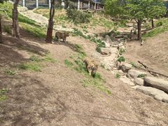 -大连森林动物园